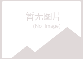 上海字迹水泥有限公司